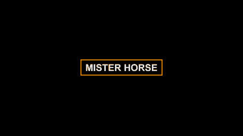 Animation Composer - Mister Horse